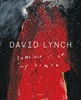 Afbeelding van David Lynch – Someone is in my House