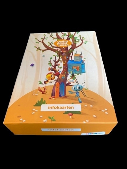 Afbeelding van Veilig leren lezen