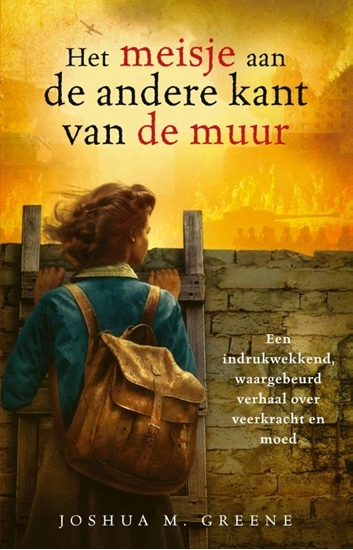Afbeelding van Het meisje aan de andere kant van de muur