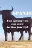 Afbeelding van Spanje