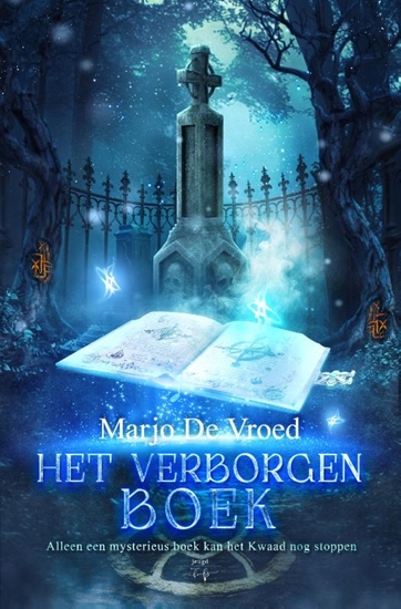 Afbeelding van Het donkere visioen Het verborgen boek