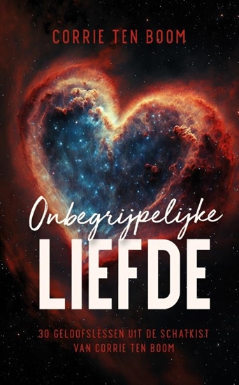 Afbeelding van Onbegrijpelijke liefde