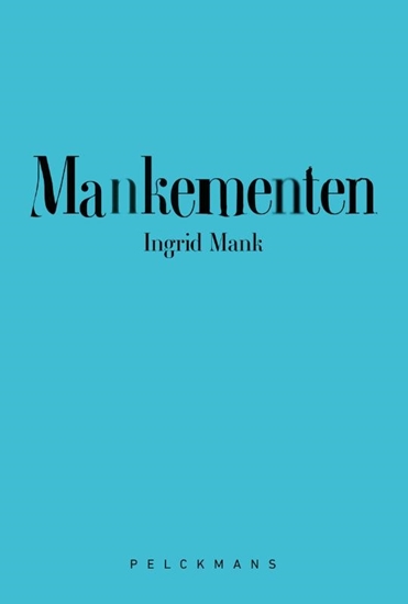 Afbeelding van Mankementen