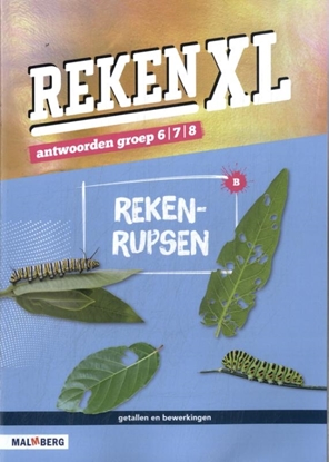 Afbeeldingen van RekenXL groep 6/7/8 Antwoorden