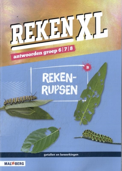 Afbeelding van RekenXL groep 6/7/8 Antwoorden