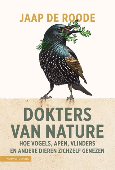 Afbeelding van Dokters van nature