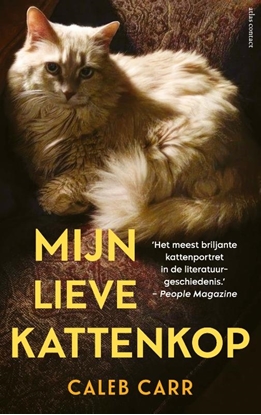 Afbeeldingen van Mijn lieve kattenkop