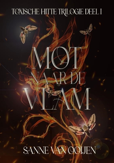 Afbeelding van Toxische hitte Mot naar de vlam