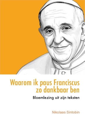 Afbeeldingen van Waarom ik paus Franciscus zo dankbaar ben
