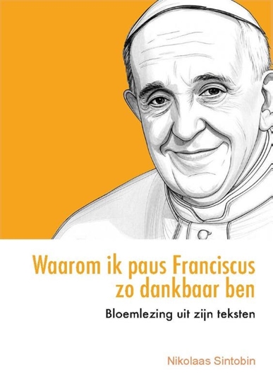 Afbeelding van Waarom ik paus Franciscus zo dankbaar ben