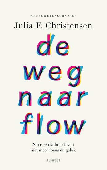Afbeelding van De weg naar flow