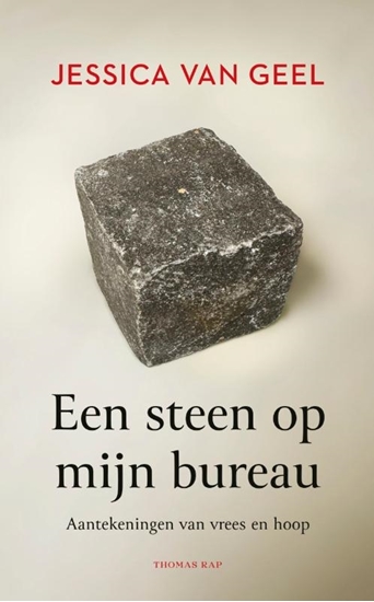 Afbeelding van Een steen op mijn bureau