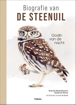 Afbeeldingen van Biografie van de steenuil