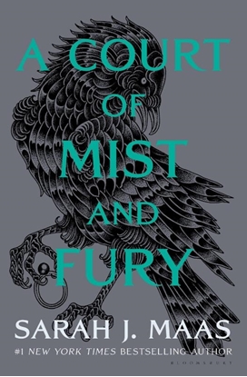 Afbeeldingen van A Court of Thorns and Roses A Court of Mist and Fury