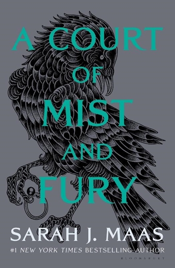 Afbeelding van A Court of Thorns and Roses A Court of Mist and Fury
