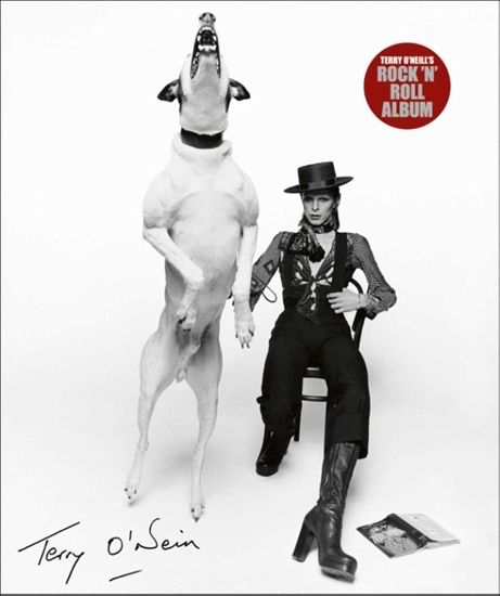 Afbeelding van Terry O'Neill's Rock 'n' Roll Album