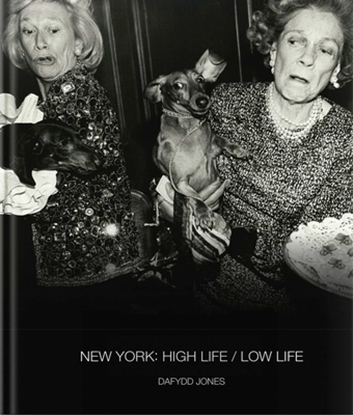 Afbeeldingen van Dafydd Jones New York: High Life / Low Life