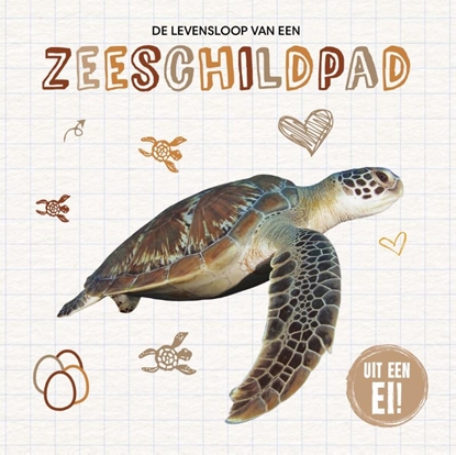 Afbeeldingen van Uit een ei! De levensloop van een zeeschildpad