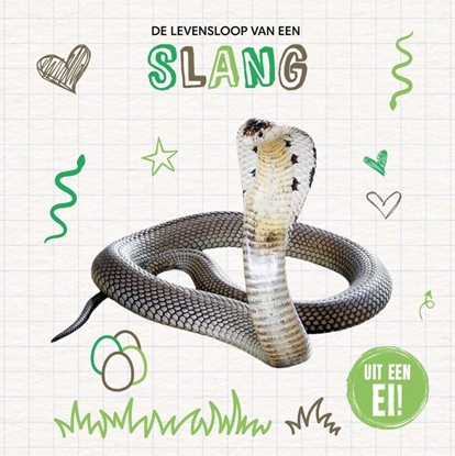 Afbeeldingen van Uit een ei! De levensloop van een slang