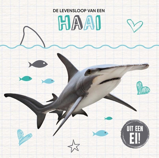 Afbeelding van De levensloop van een haai