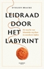 Afbeelding van Leidraad door het labyrint