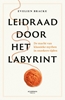 Afbeelding van Leidraad door het labyrint