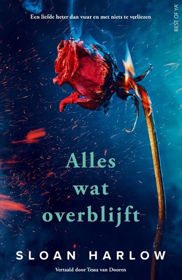 Afbeelding van Alles wat overblijft