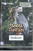 Afbeelding van Blink Lezen Blink Lezen leesdossier & teksten groep 5/6 thema A3: Stadse fratsen