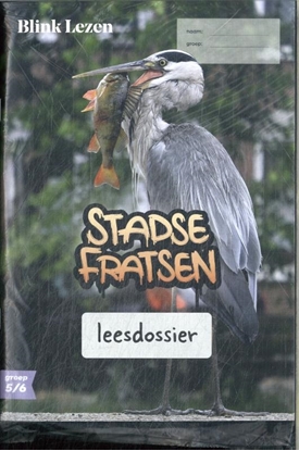 Afbeeldingen van Blink Lezen Blink Lezen leesdossier & teksten groep 5/6 thema A3: Stadse fratsen