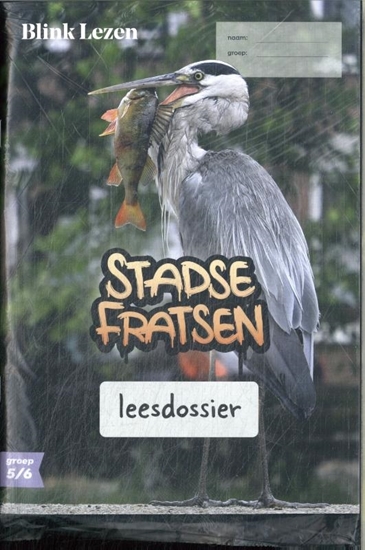 Afbeelding van Blink Lezen Blink Lezen leesdossier & teksten groep 5/6 thema A3: Stadse fratsen