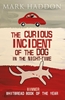 Afbeelding van The Curious Incident of the Dog In the Night-time