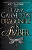Afbeelding van Outlander Dragonfly In Amber