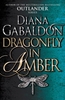 Afbeelding van Outlander Dragonfly In Amber