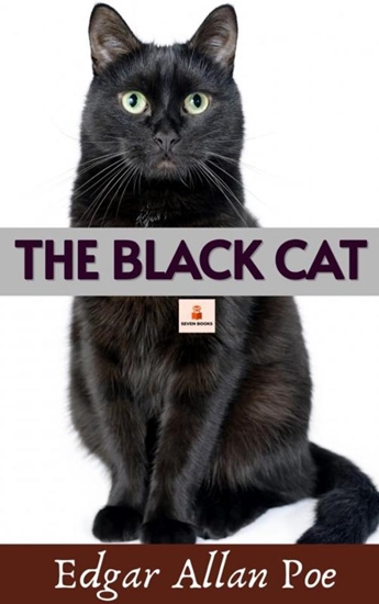 Afbeelding van The Black Cat