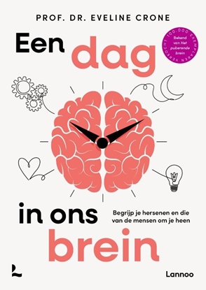 Afbeeldingen van Een dag in ons brein