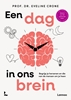 Afbeelding van Een dag in ons brein