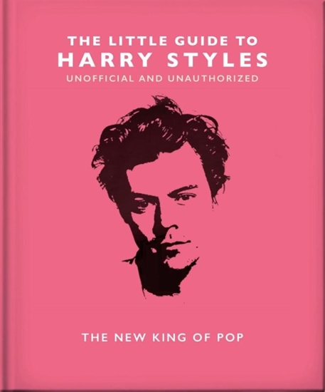 Afbeelding van The Little Guide to Harry Styles
