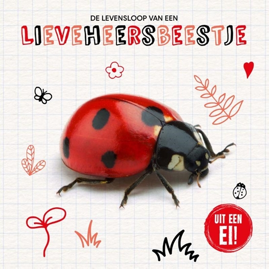 Afbeelding van Uit een ei! De levensloop van een lieveheersbeestje