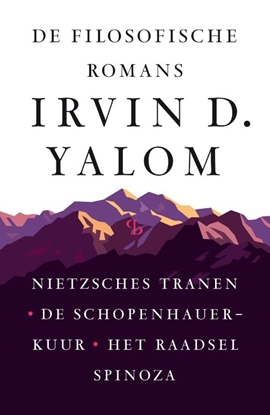 Afbeeldingen van De filosofische romans