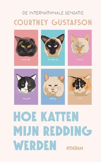 Afbeelding van Hoe katten mijn redding werden