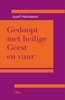 Afbeelding van Gedoopt met Heilige geest en vuur