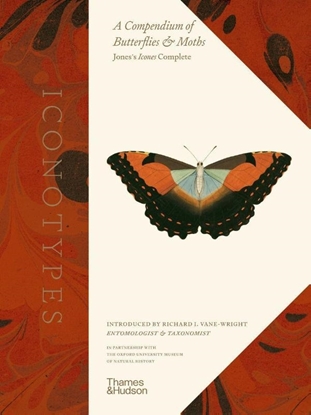 Afbeeldingen van Iconotypes