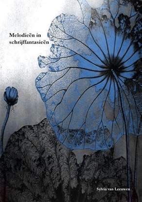 Afbeeldingen van Melodieën in schrijffantasieën