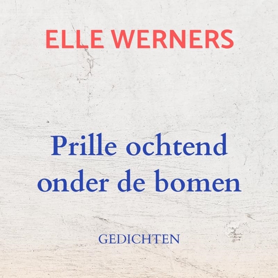 Afbeelding van VENSTERLICHT