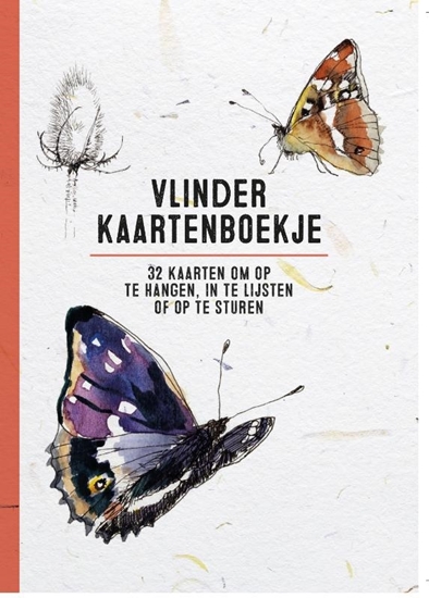 Afbeelding van Vlinder kaartenboekje