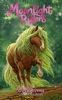 Afbeelding van Moonlight Riders Bloesempony