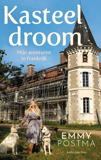 Afbeelding van Kasteeldroom
