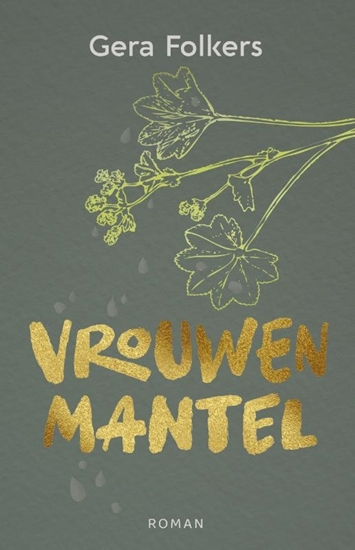 Afbeelding van Vrouwenmantel