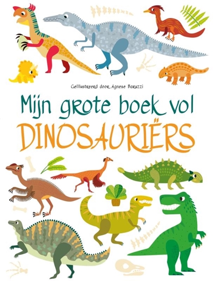 Afbeelding van Mijn grote boek vol dinosaurussen