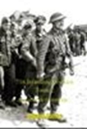 Afbeelding van 716.Infanterie.Division Tome 2